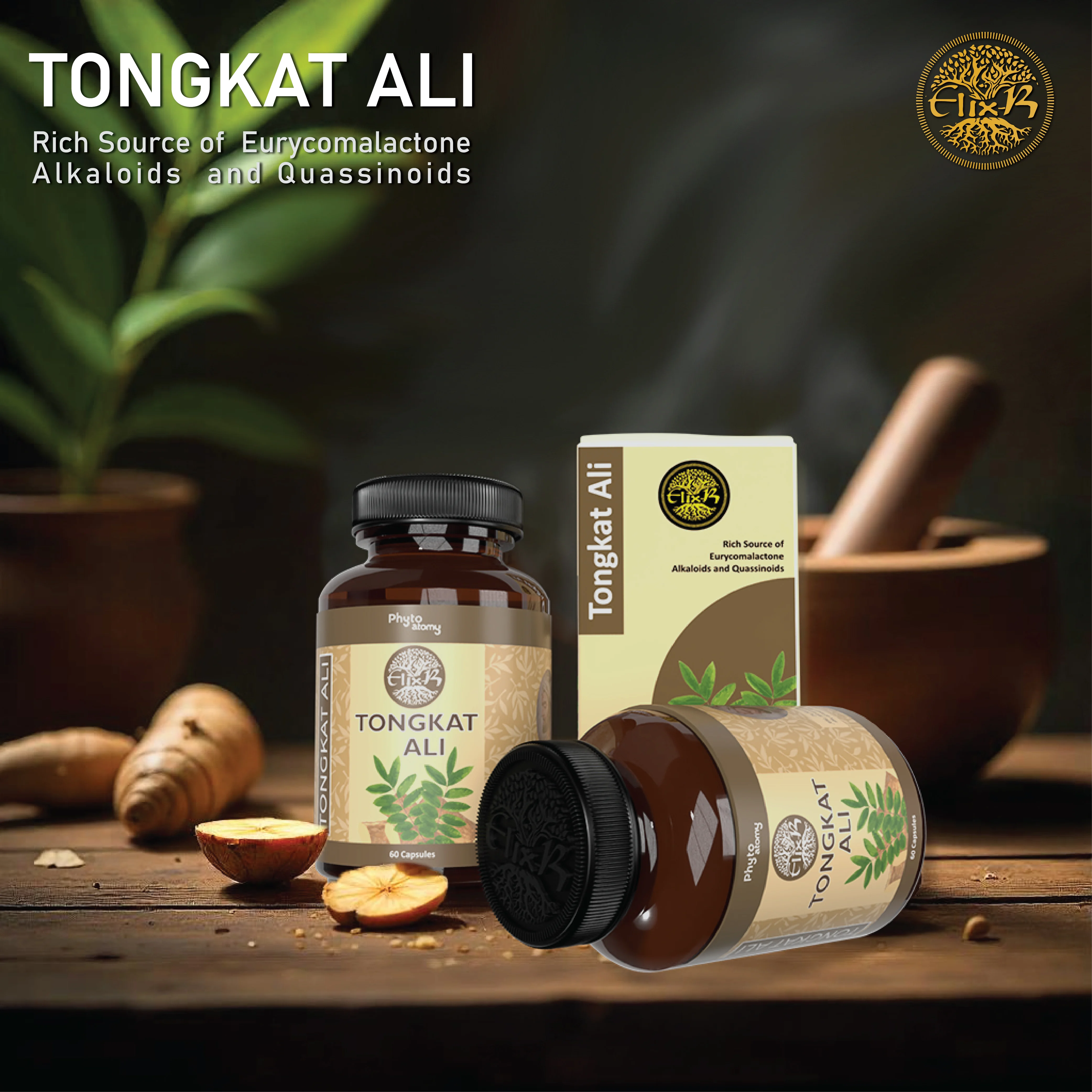 Tongkat Ali (60 Capsule)-(8 Pcs.)- SCBV & Delta